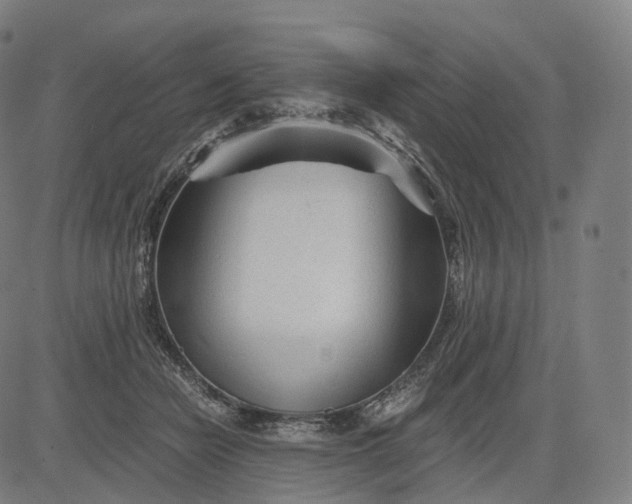 X0000084550462200703091724