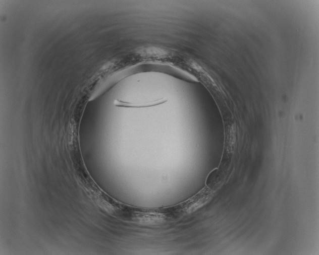 X0000084550463200703091724