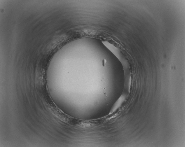 X0000084550464200703091724