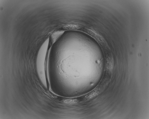 X0000084550465200703091724