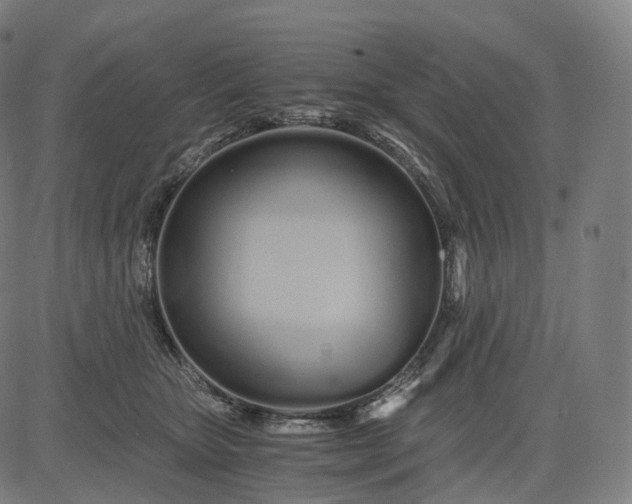 X0000084550467200703091724