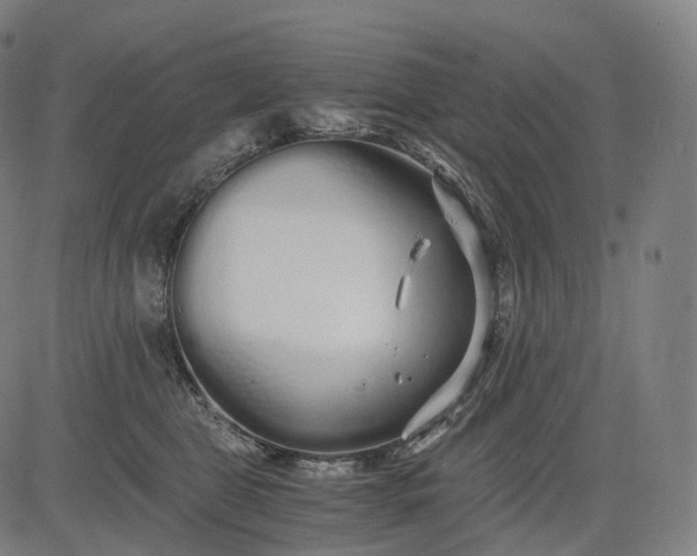 X0000084550469200703091724