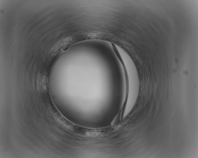 X0000084550470200703091724