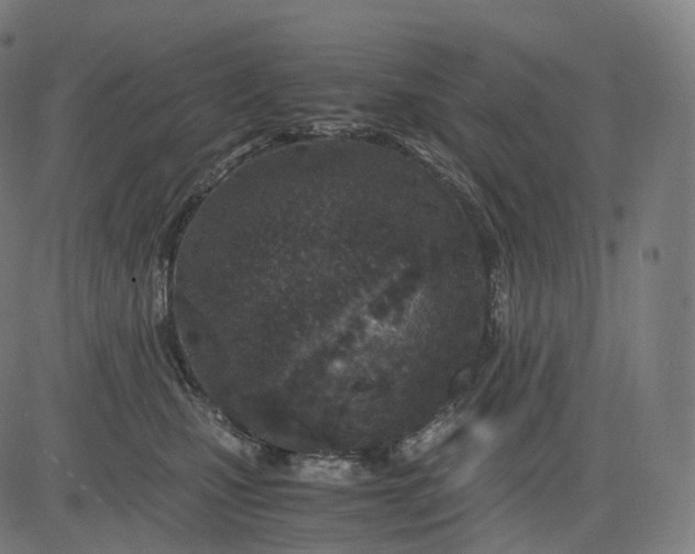 X0000084550471200703091724