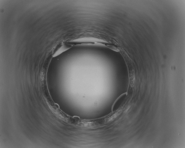 X0000084550472200703091724