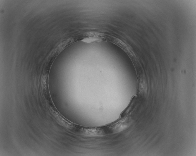 X0000084550473200703091724