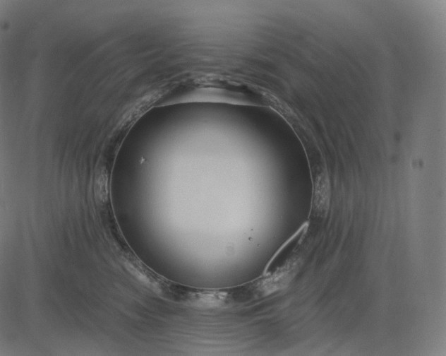 X0000084550474200703091724