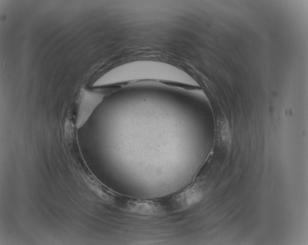 X0000084550475200703091724