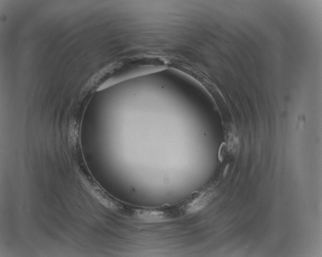 X0000084550476200703091724