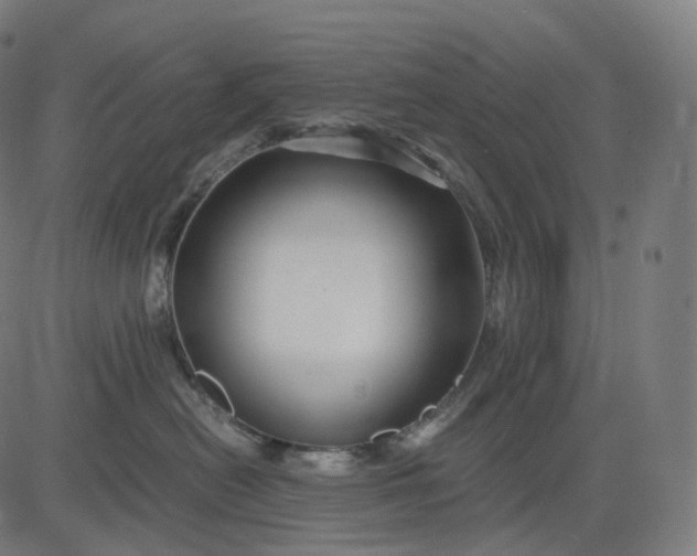 X0000084550478200703091724