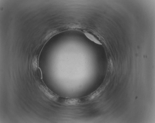 X0000084550479200703091724