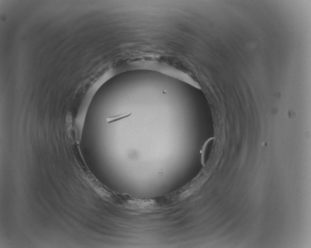 X0000084550480200703091724