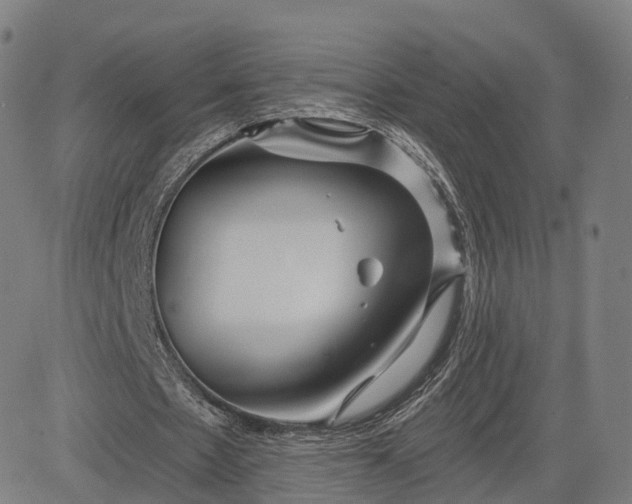 X0000084550481200703091723