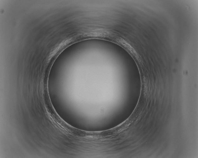 X0000084550482200703091723