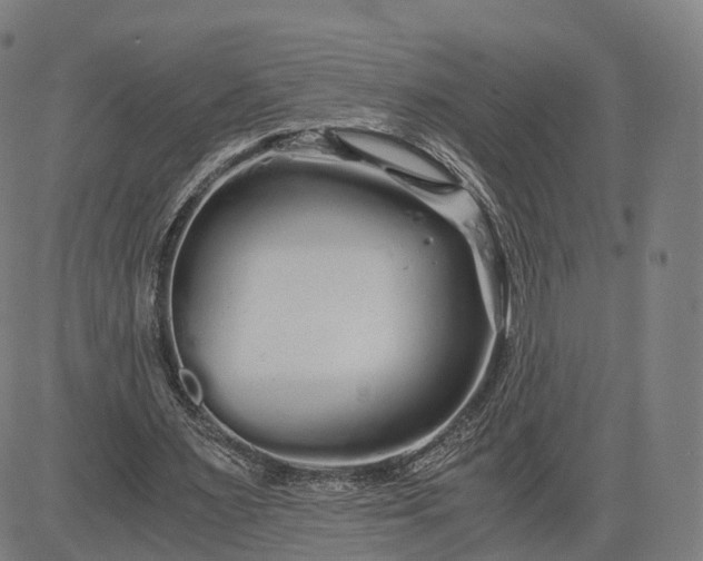 X0000084550483200703091723