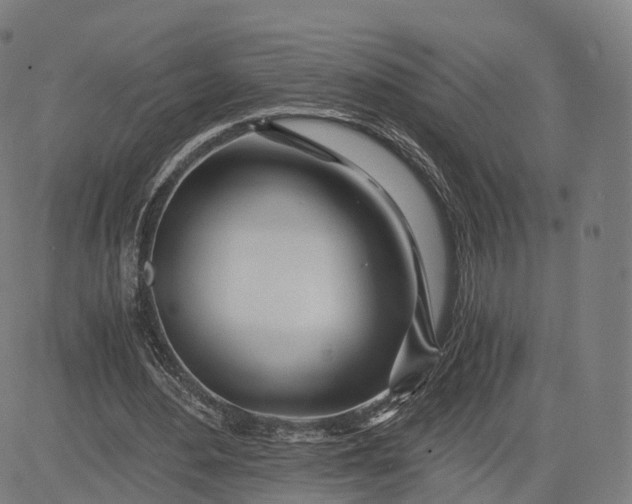 X0000084550484200703091723