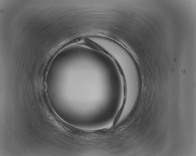 X0000084550485200703091723