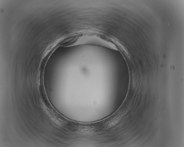 X0000084550486200703091723