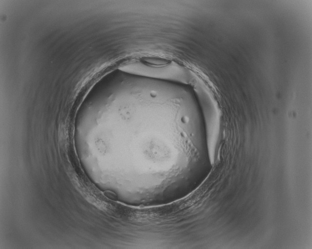 X0000084550487200703091723