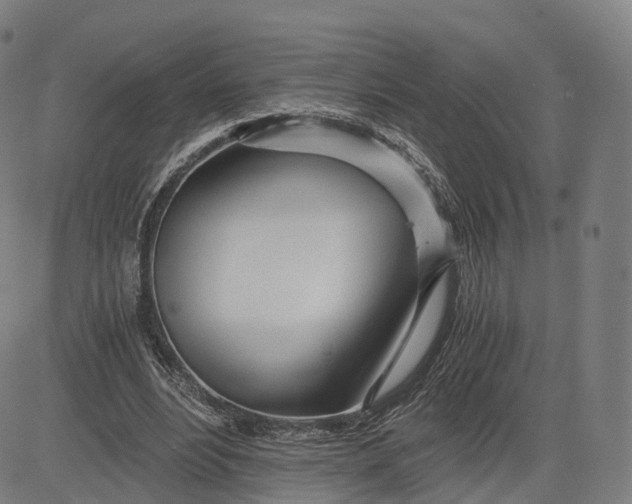 X0000084550488200703091723