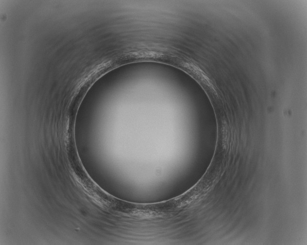 X0000084550490200703091723