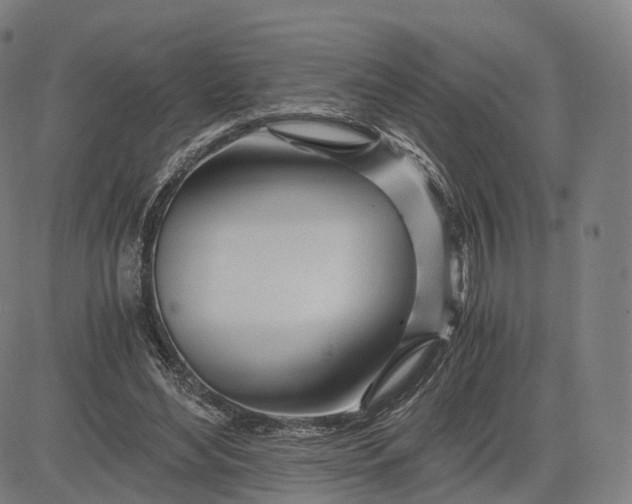 X0000084550492200703091723