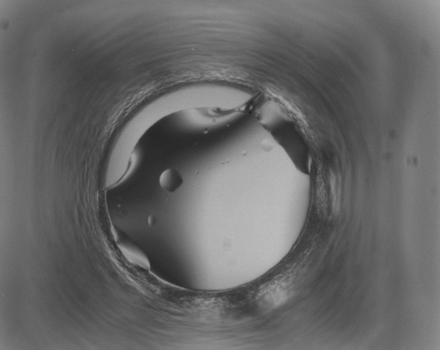 X0000084550493200703091723