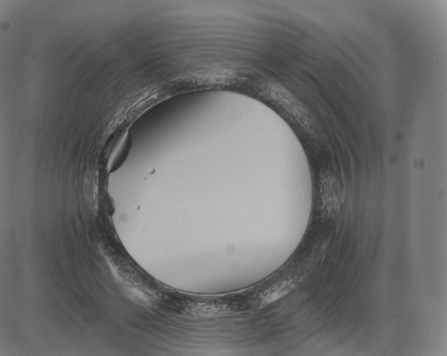 X0000084550494200703091723