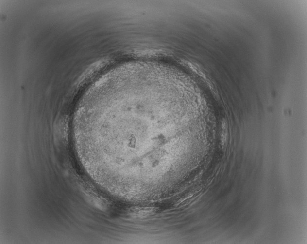 X0000084550495200703091723