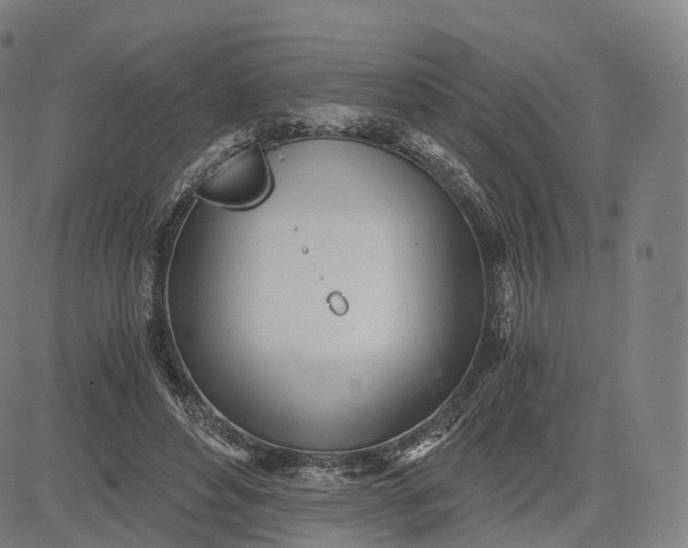 X0000084550496200703091723