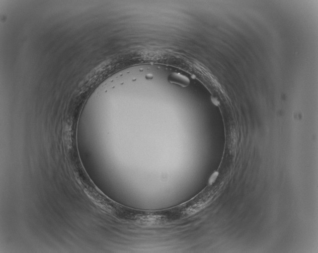 X0000084550497200703091723