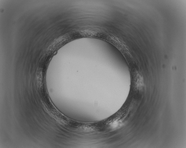 X0000084550498200703091723