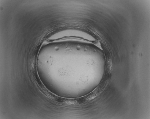 X0000084550499200703091723