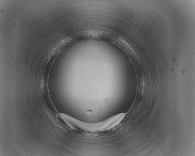 X0000084550500200703091723