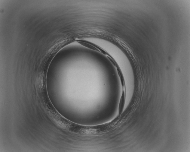 X0000084550501200703091723