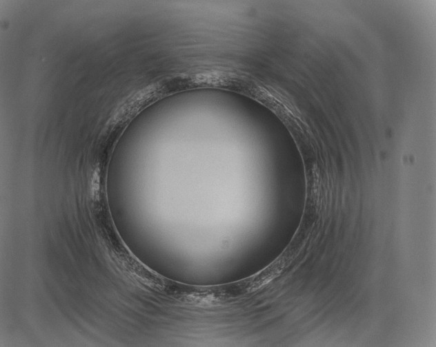 X0000084550502200703091723