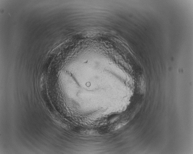 X0000084550503200703091723