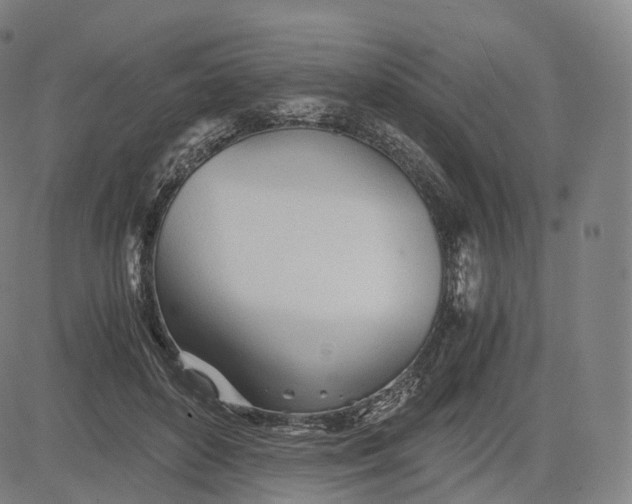 X0000084550504200703091723