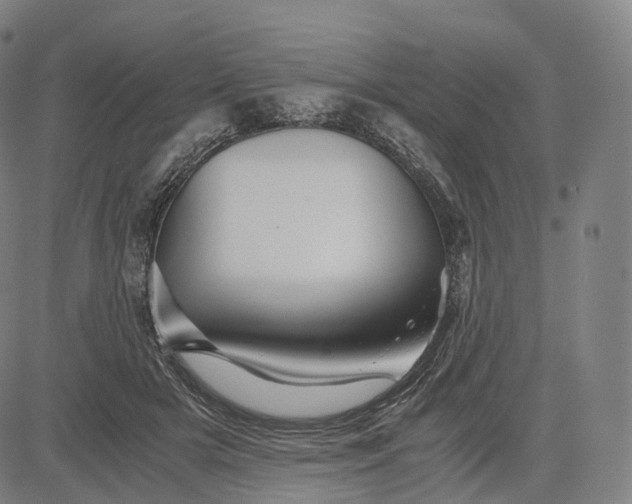 X0000084550505200703091723