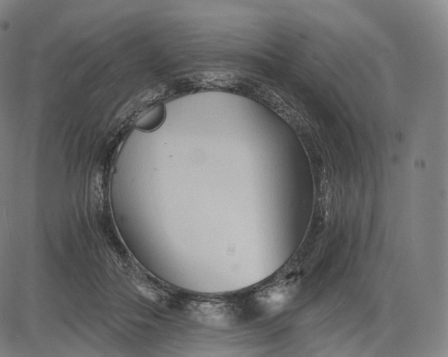 X0000084550506200703091723