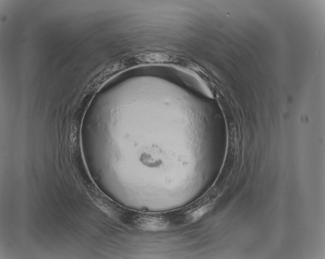 X0000084550507200703091723