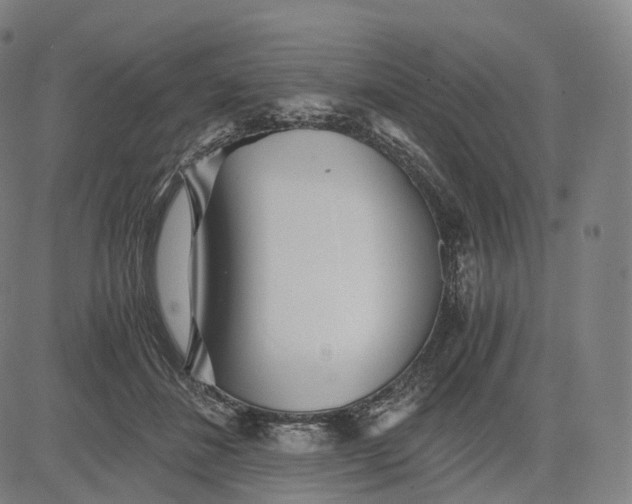 X0000084550508200703091723