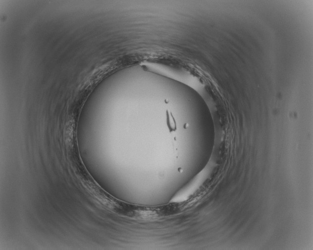 X0000084550509200703091723