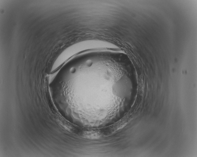 X0000084550511200703091723