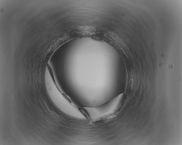 X0000084550512200703091723