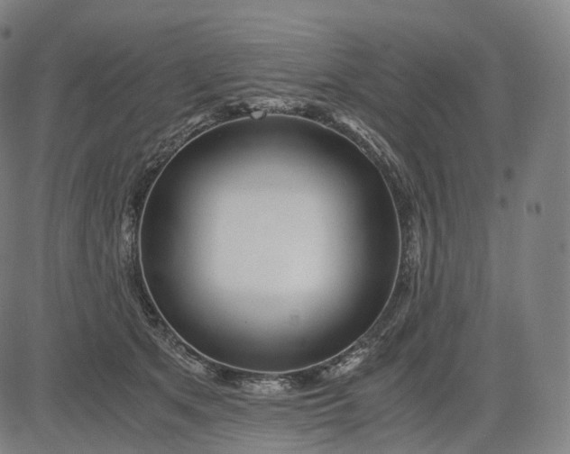 X0000084550513200703091723