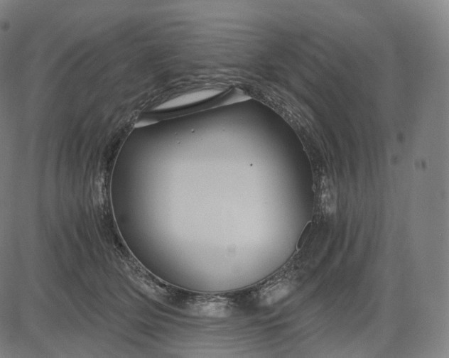 X0000084550514200703091723