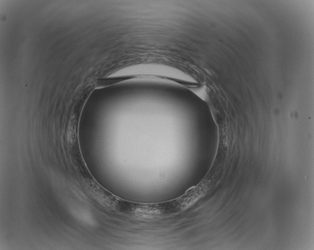 X0000084550515200703091723