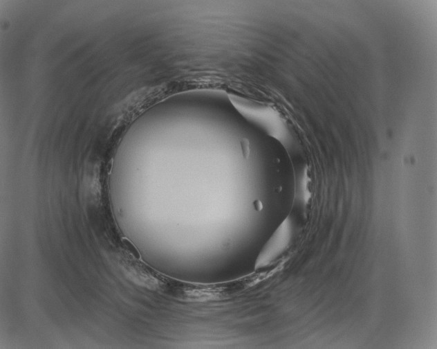 X0000084550516200703091723