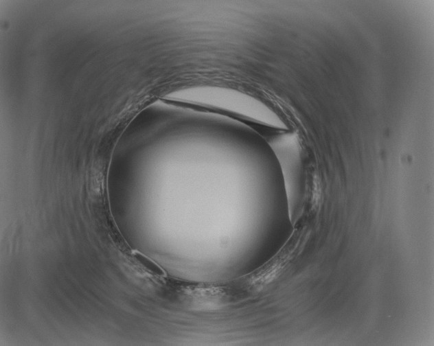 X0000084550517200703091723